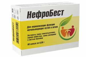 Нефробест капс № 60 Купить Нефробест капс № 60