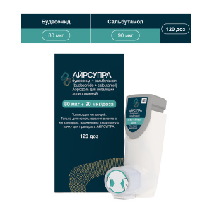Айрсупра 80 мкг + 90 мкг 120 доз аэрозоль для ингаляций дозированный Купить Айрсупра 80 мкг + 90 мкг 120 доз аэрозоль для ингаляций дозированный