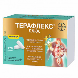Терафлекс Плюс капс №120 Купить  Терафлекс Плюс капс №120