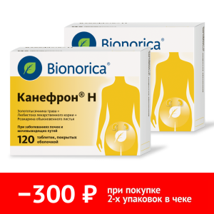 Набор 2 уп. Канефрон Н 120 шт таб Купить  Набор 2 уп. Канефрон Н 120 шт таб