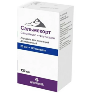 Сальмекорт аэроз д/инг доз 25мкг+125мкг 120ДОЗ Купить Сальмекорт аэроз д/инг доз 25мкг+125мкг 120ДОЗ
