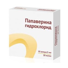 Папаверин р-р д/ин 2% 2мл №10 Купить Папаверин р-р д/ин 2% 2мл №10