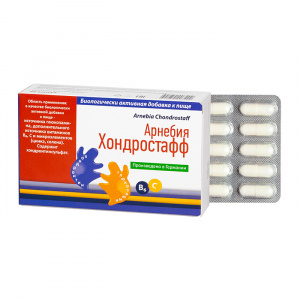 ARNEBIA Хондростафф капс №80 Купить  ARNEBIA Хондростафф капс №80