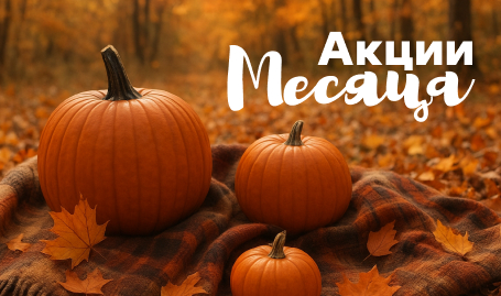 Акции месяца ноябрь 2025