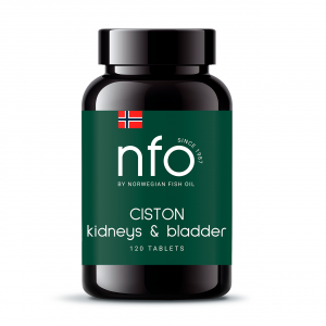 Купить  NFO Цистон таб №120