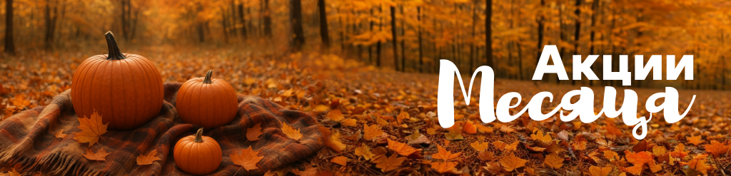 Акции месяца ноябрь 2025