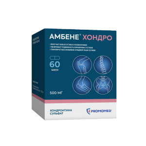 Купить  Амбене Хондро 500 мг 60 шт капсулы