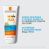 Купить La Roche-Posay Anthelios SPF 50 250 мл молочко для лица и тела