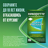 Купить Никоретте Жевательная резинка от курения Морозная мята 2 мг, №30