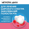 Купить Метрогил Дента гель стоматологический 20г