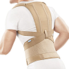 Купить Корректор осанки Орлетт р.L/XL Арт.TLSO-251(F) беж кор